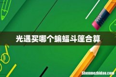 光遇买哪个蝙蝠斗篷合算