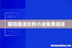 陆羽盛凌云的小说免费阅读