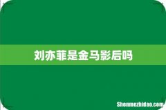 刘亦菲是金马影后吗