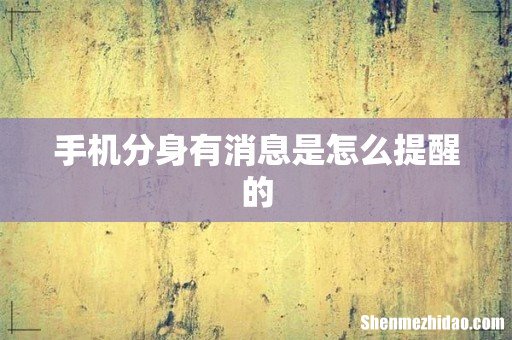 手机分身有消息是怎么提醒的