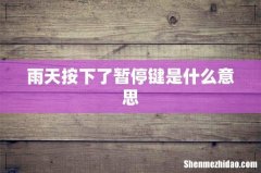 雨天按下了暂停键是什么意思