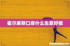 霍尔果斯口岸什么生意好做