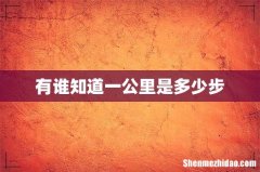 有谁知道一公里是多少步