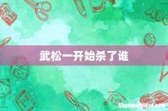 武松一开始杀了谁