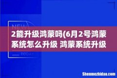 6月2号鸿蒙系统怎么升级 鸿蒙系统升级方法 2能升级鸿蒙吗