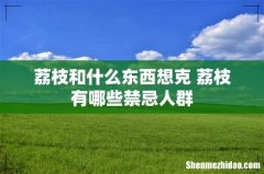 荔枝和什么东西想克 荔枝有哪些禁忌人群
