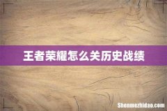 王者荣耀怎么关历史战绩