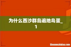 为什么西沙群岛遍地鸟蛋_1