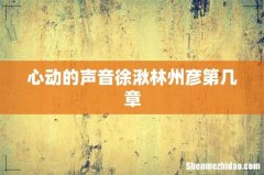 心动的声音徐湫林州彦第几章