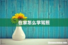在家怎么学驾照