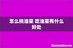怎么挑油菜 吃油菜有什么好处