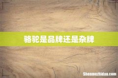 骆驼是品牌还是杂牌