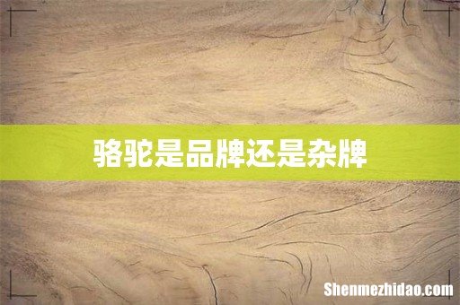 骆驼是品牌还是杂牌