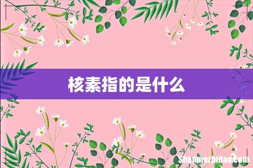 核素指的是什么