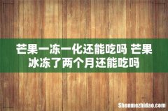 芒果一冻一化还能吃吗 芒果冰冻了两个月还能吃吗