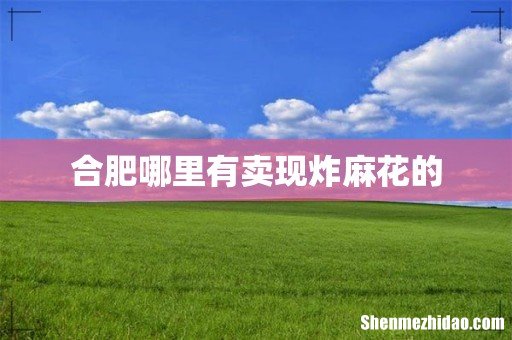 合肥哪里有卖现炸麻花的