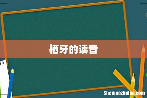 栖牙的读音