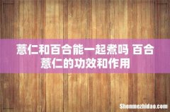 薏仁和百合能一起煮吗 百合薏仁的功效和作用