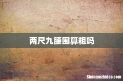 两尺九腰围算粗吗