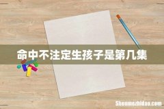 命中不注定生孩子是第几集