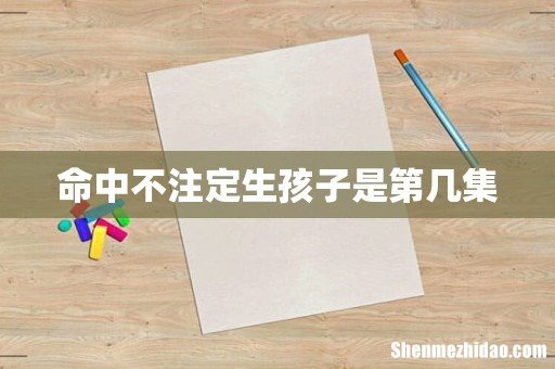 命中不注定生孩子是第几集