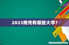 2023南充有哪些大学？
