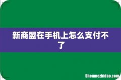 新商盟在手机上怎么支付不了