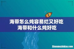 海带怎么炖容易烂又好吃 海带和什么炖好吃