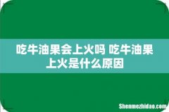 吃牛油果会上火吗 吃牛油果上火是什么原因