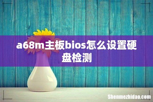a68m主板bios怎么设置硬盘检测