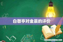 白敬亭对金晨的评价