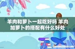 羊肉和萝卜一起吃好吗 羊肉加萝卜的搭配有什么好处