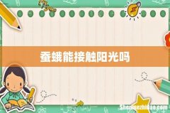 蚕蛾能接触阳光吗