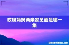 哎呀妈妈两亲家见面是哪一集