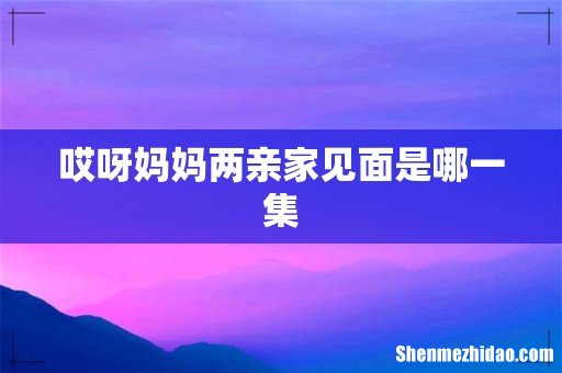 哎呀妈妈两亲家见面是哪一集