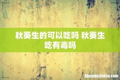 秋葵生的可以吃吗 秋葵生吃有毒吗