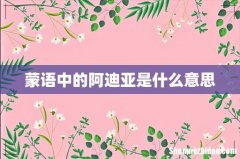 蒙语中的阿迪亚是什么意思