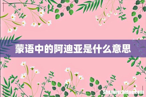 蒙语中的阿迪亚是什么意思