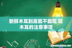 新鲜木耳到底能不能吃 吃木耳的注意事项