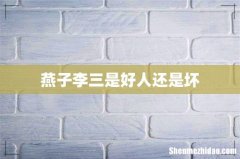 燕子李三是好人还是坏