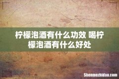 柠檬泡酒有什么功效 喝柠檬泡酒有什么好处