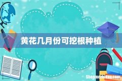 黄花几月份可挖根种植