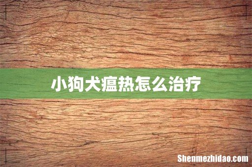 小狗犬瘟热怎么治疗