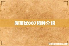 隆两优007稻种介绍