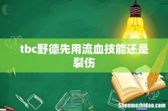 tbc野德先用流血技能还是裂伤