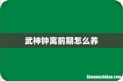 武神钟离前期怎么养