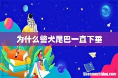 为什么警犬尾巴一直下垂