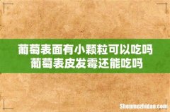 葡萄表面有小颗粒可以吃吗 葡萄表皮发霉还能吃吗