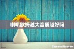 喇叭欧姆越大音质越好吗