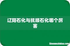 辽阳石化与抚顺石化哪个厉害